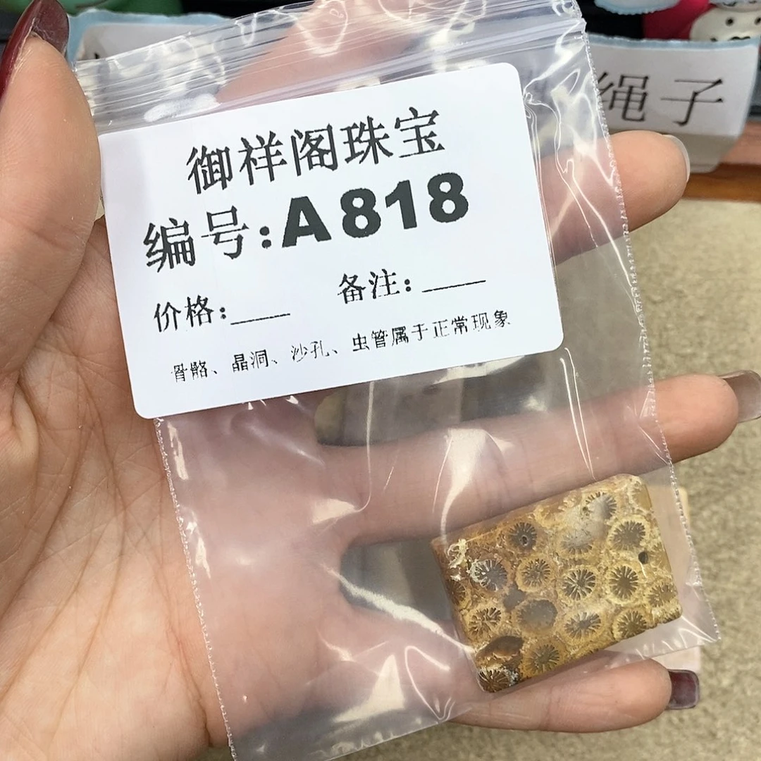 硅化珊瑚（珊瑚玉）A未镶嵌君*