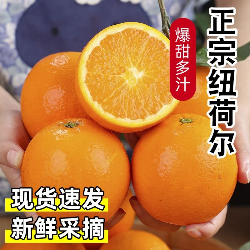 正宗高山纽荷尔脐橙果园直发香甜孕妇水果坏果包赔Y