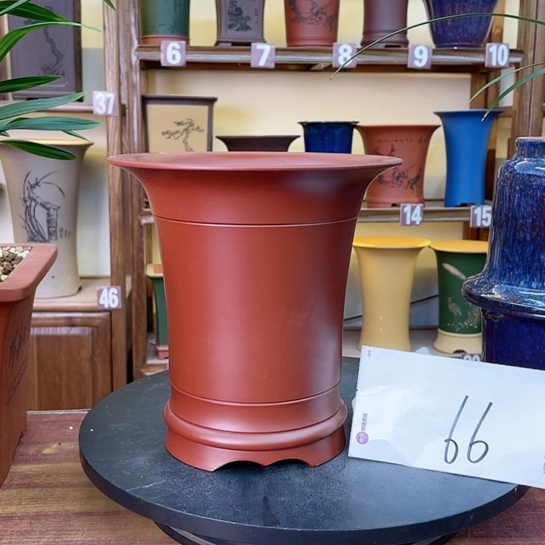 【闪购商品】紫砂花盆四*兰花45584455555556