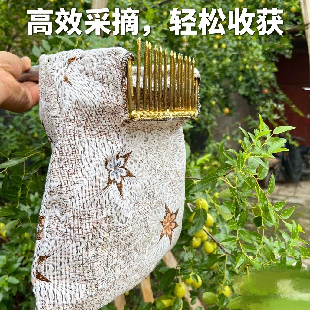 新款摘酸枣柏树籽山楂大枣女贞工具摘油茶果柠条籽山杏山桃工具