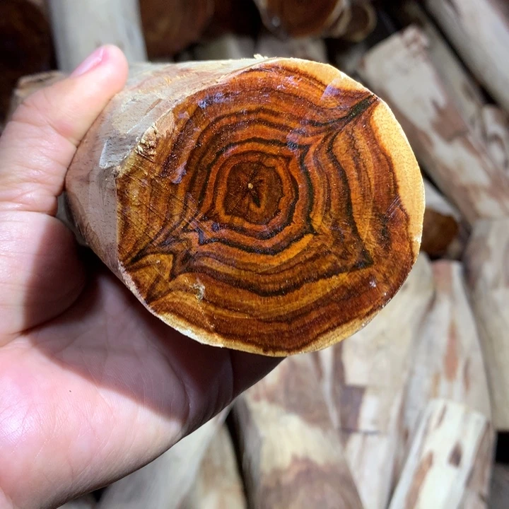 小***姐花梨木类海南黄花梨