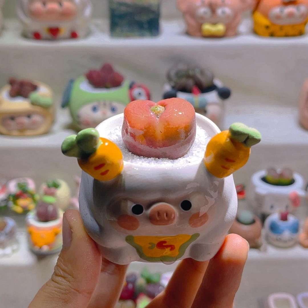 035高端多肉带盆土一套48