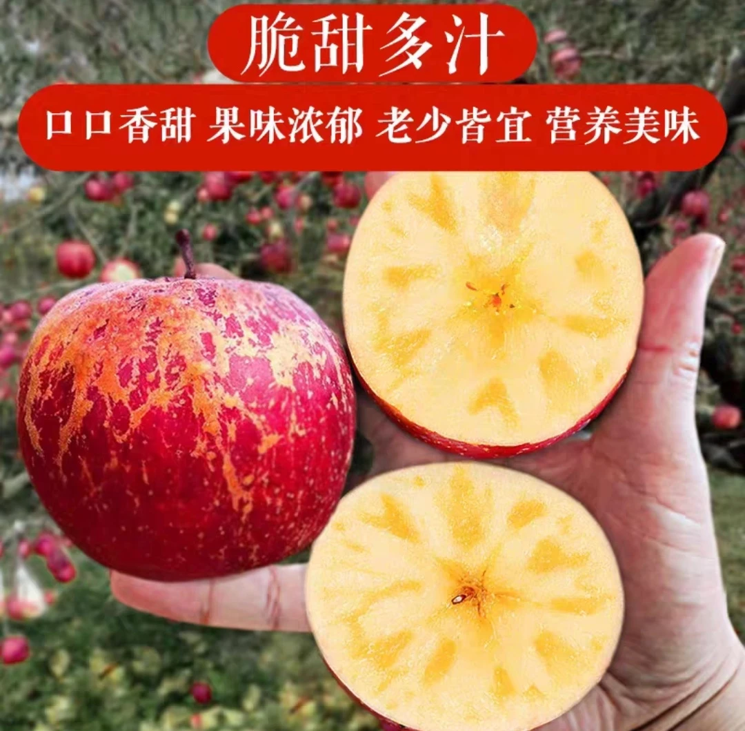 正宗云南昭通丑苹果脆甜多汁红皮黄肉原产地直发