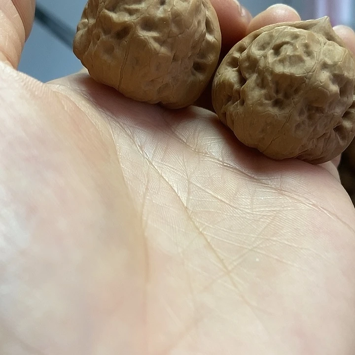 把件文玩核桃34三角古蝉