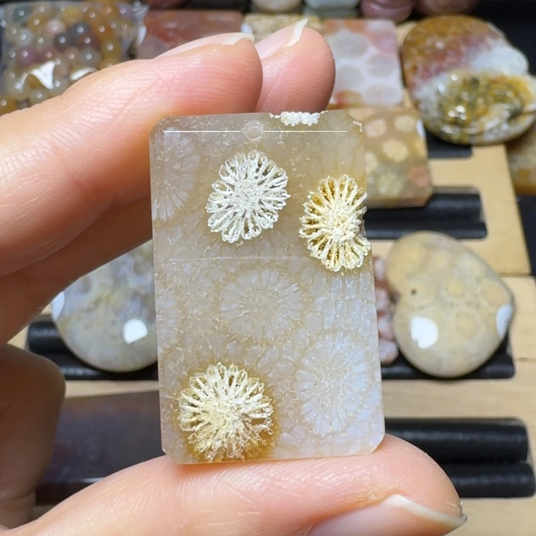 硅化玉玉透骨骼牌未镶嵌