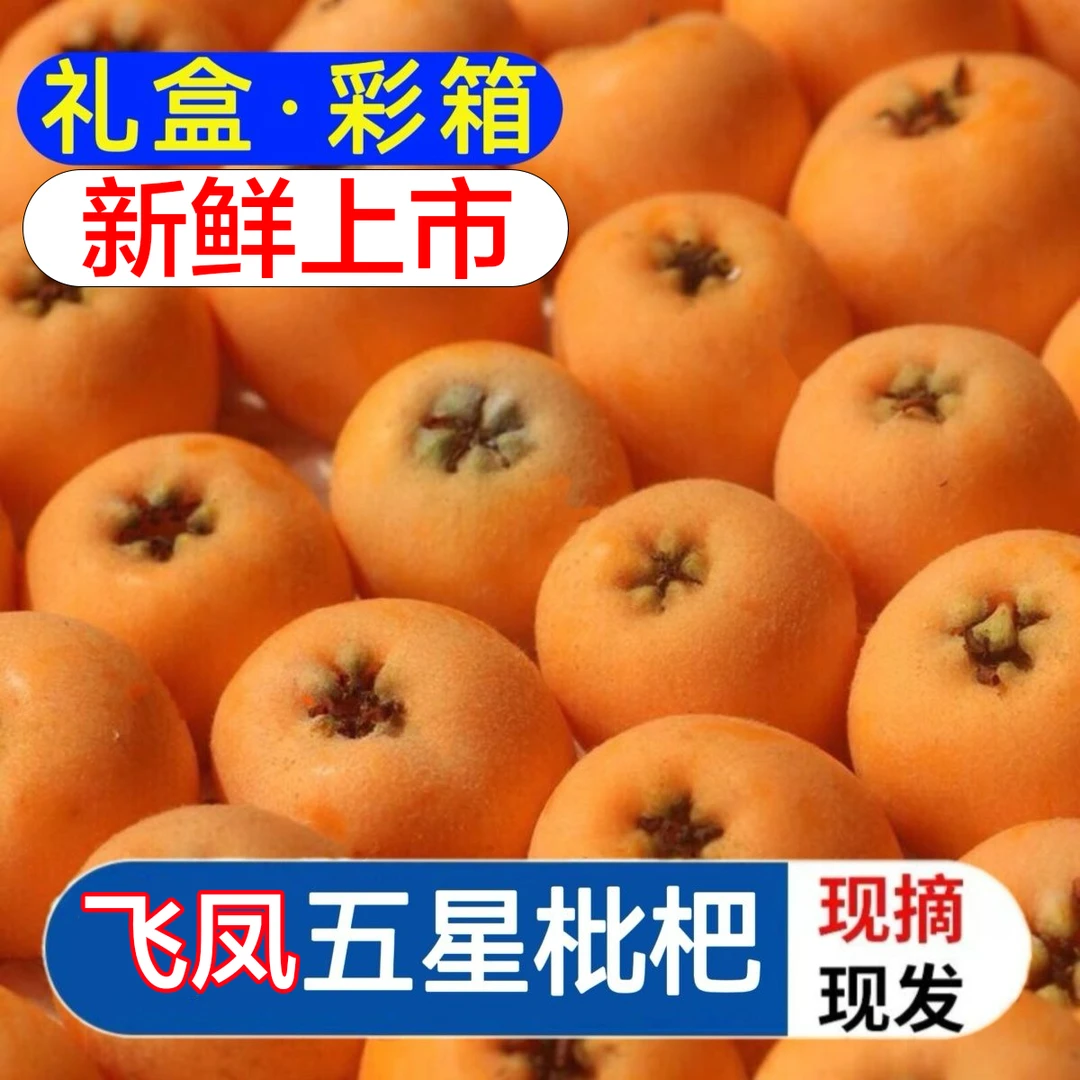 【礼盒】阆中飞凤大五星枇杷新鲜水果当季农家枇杷整箱包邮