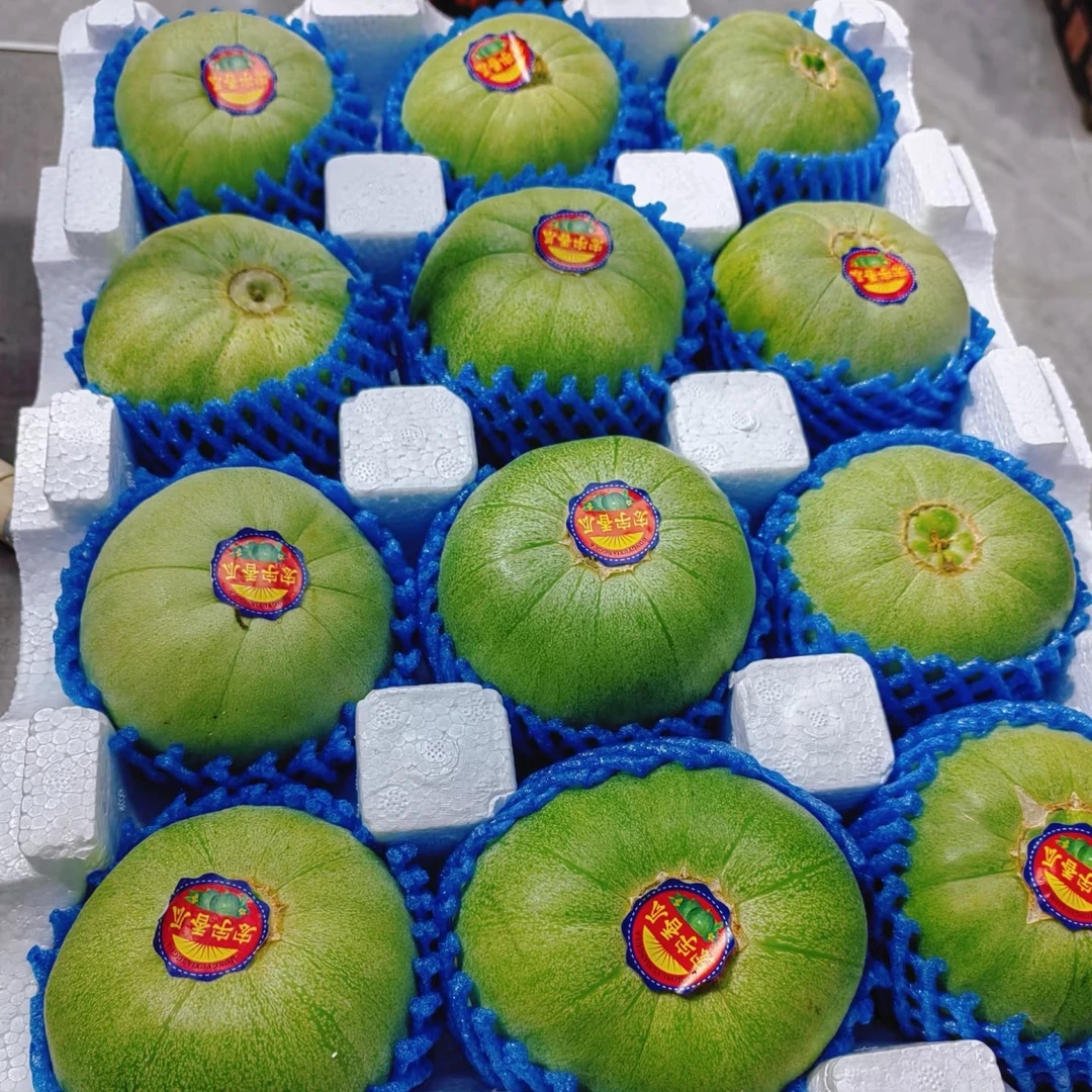 【绿宝石香瓜 】新鲜水果 应季水果山东省