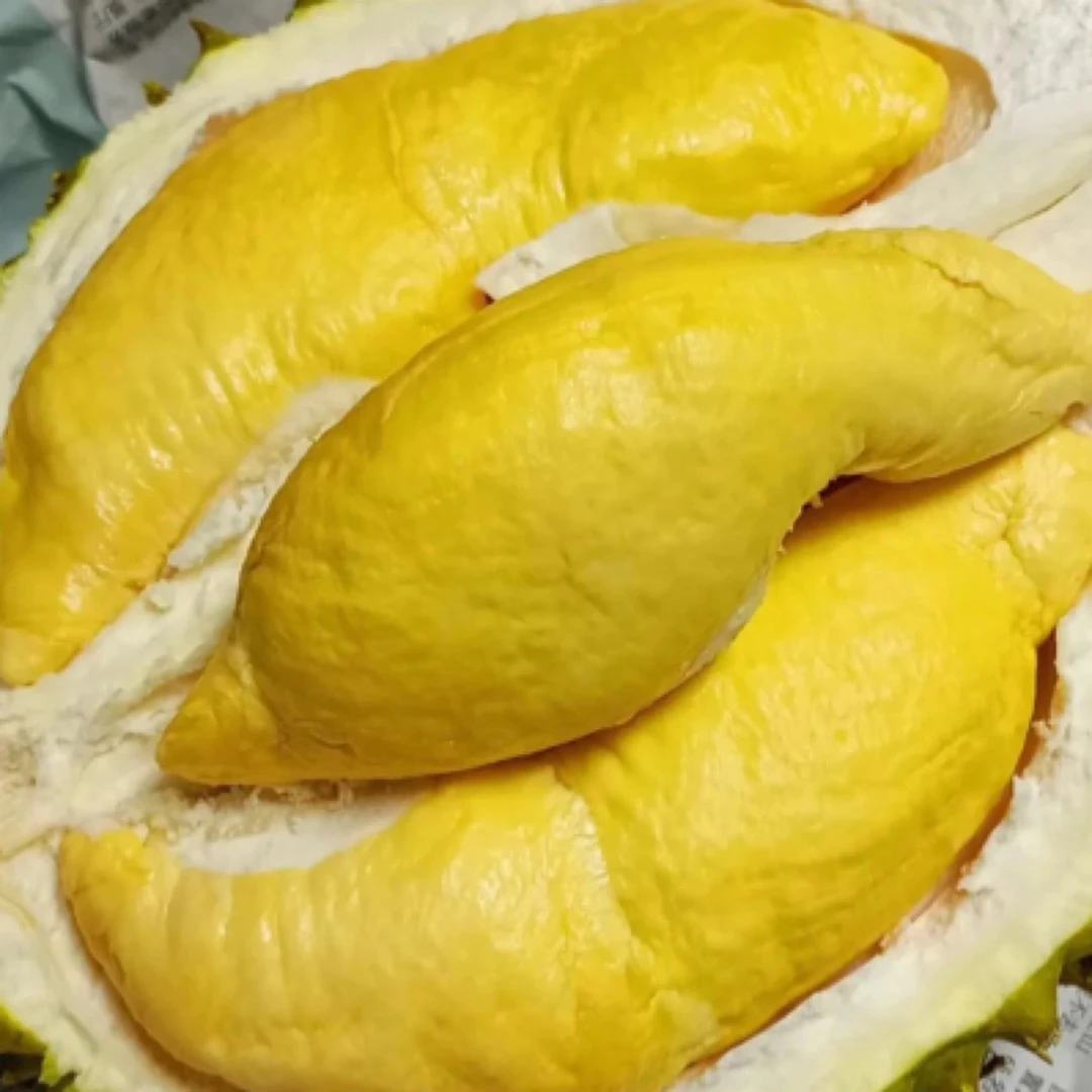 (同城快送)  干尧榴莲又称小猫山王  新鲜榴莲核大 中斤干尧越南