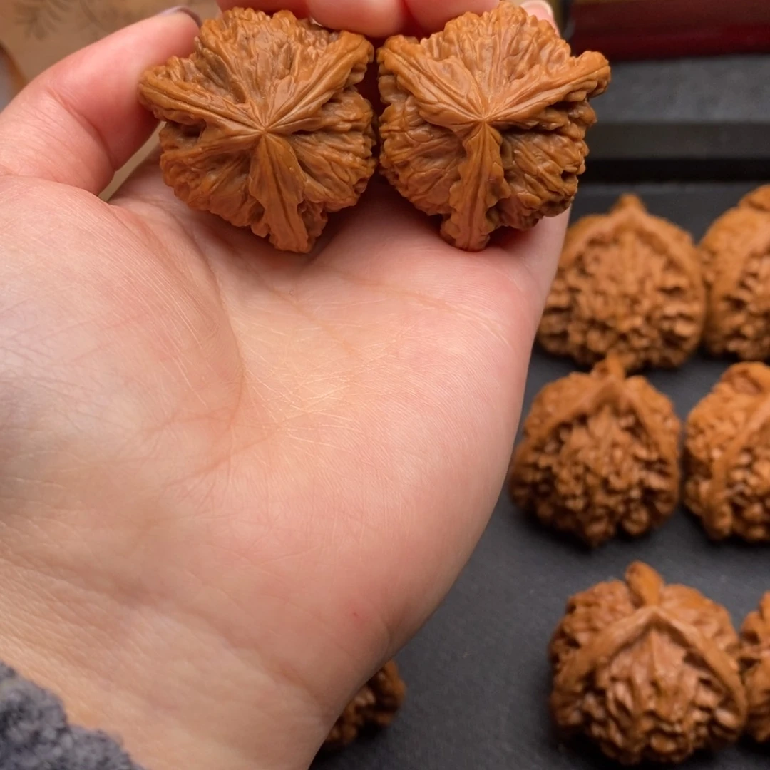 ༺****༻白狮子11111111111