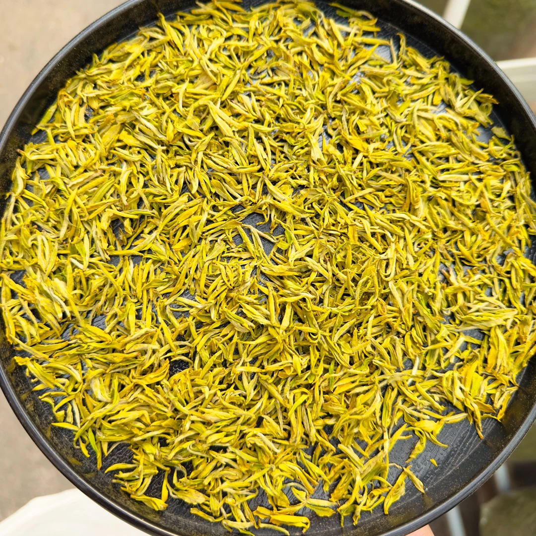 2025新茶绿茶头采黄金兰花奶香茶叶【五木H30】