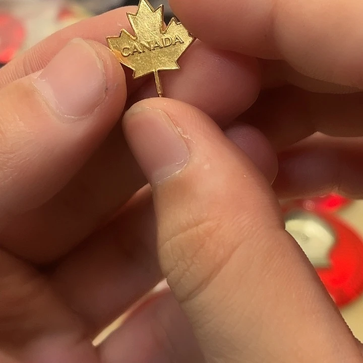 万***）一一一一一一一高贵轻