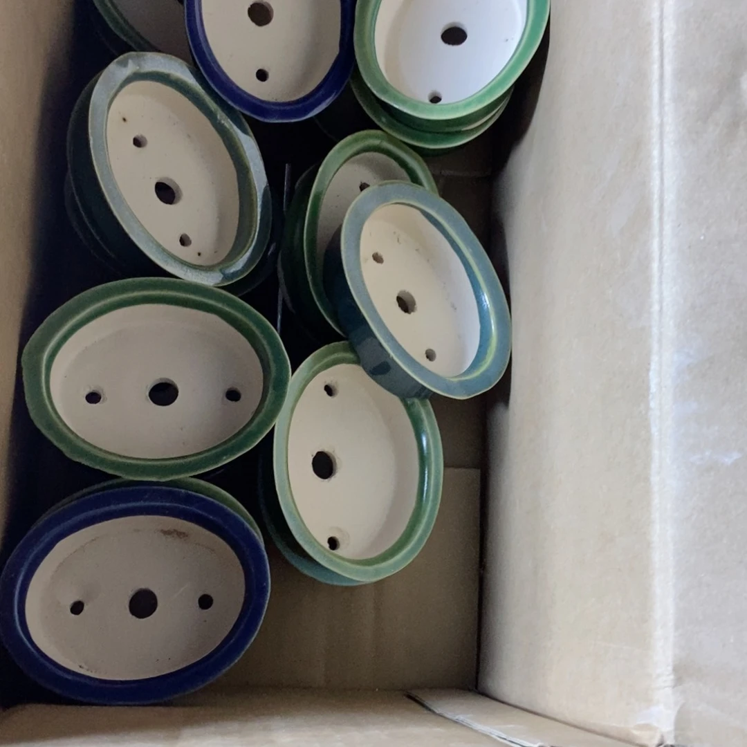 红陶烽**月不敢看电视我睡觉