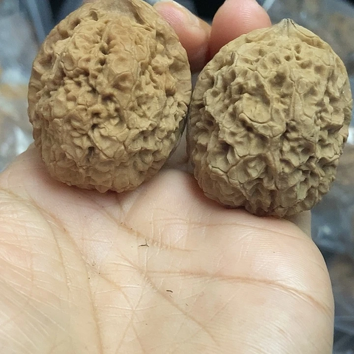 把件文玩核桃云南铁核桃基地48