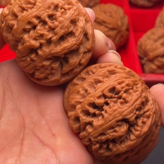 文玩核桃把件秦岭山脉核桃