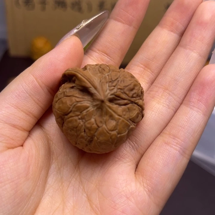 飞***觉菩提籽类南瓜蛇单只异型