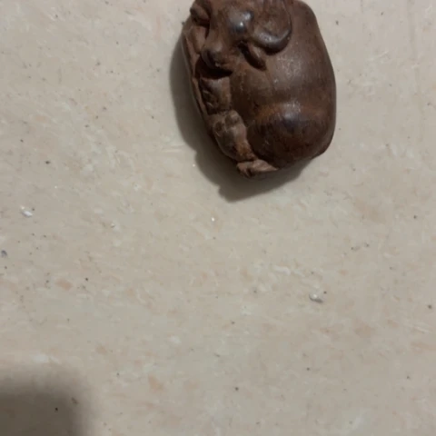 香榧木台**陈Rhvfjvghvvbv