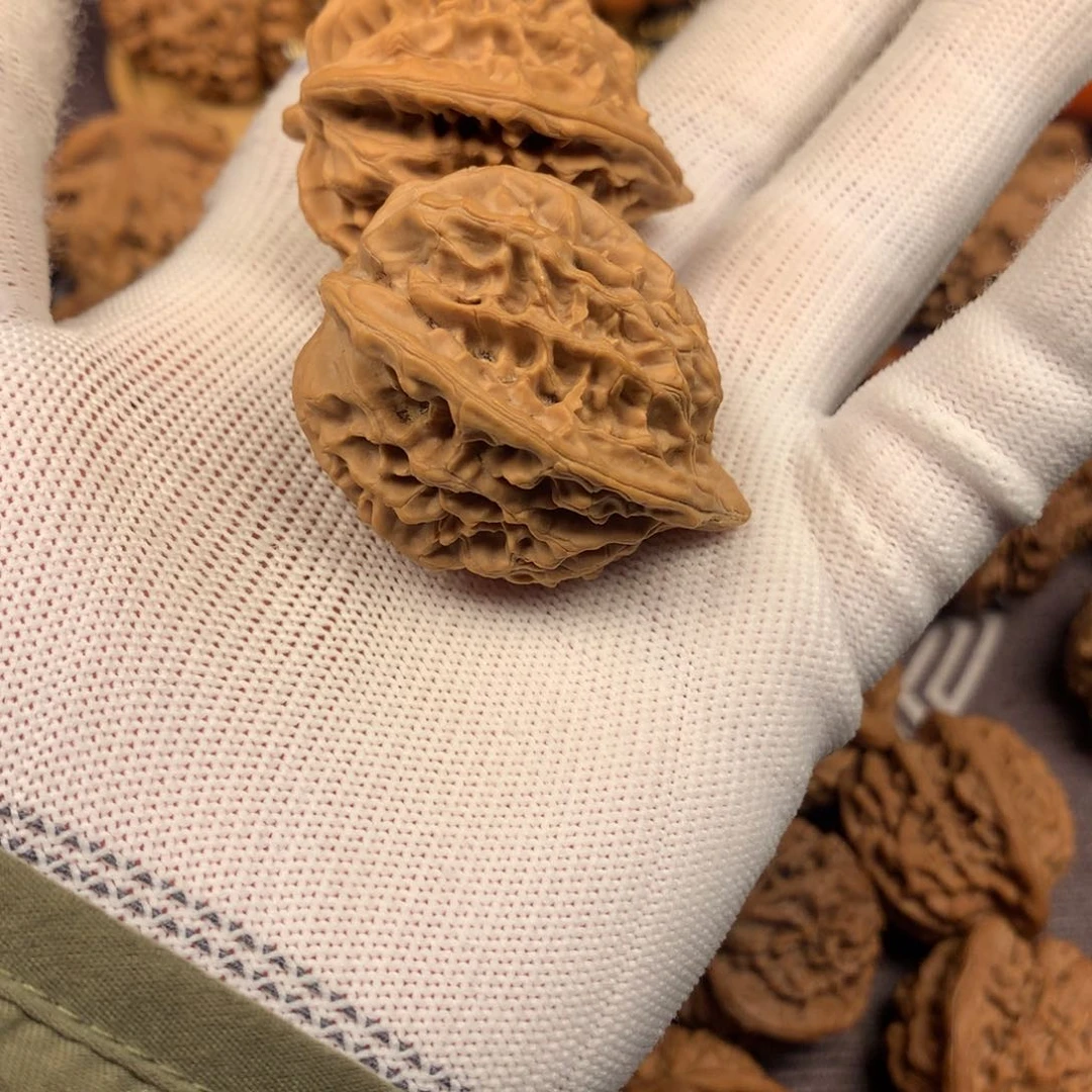 秦岭南北缘至西南的