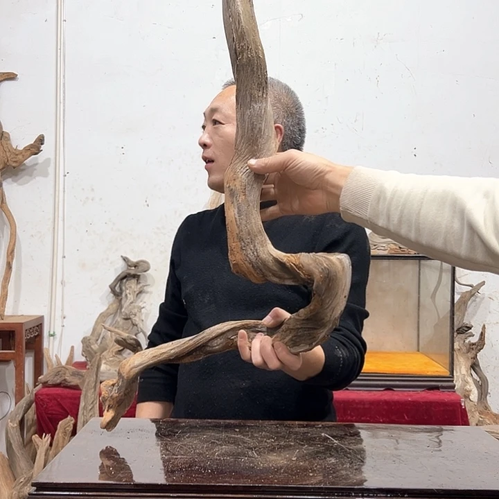 柏木木****馆我们都是好孩子呀我也是这样