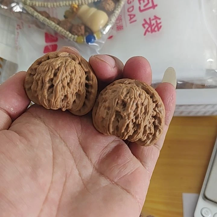文玩核桃把件40左右白狮子编号00009