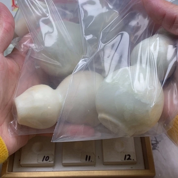蛇纹石玉未镶嵌颈饰东***兮