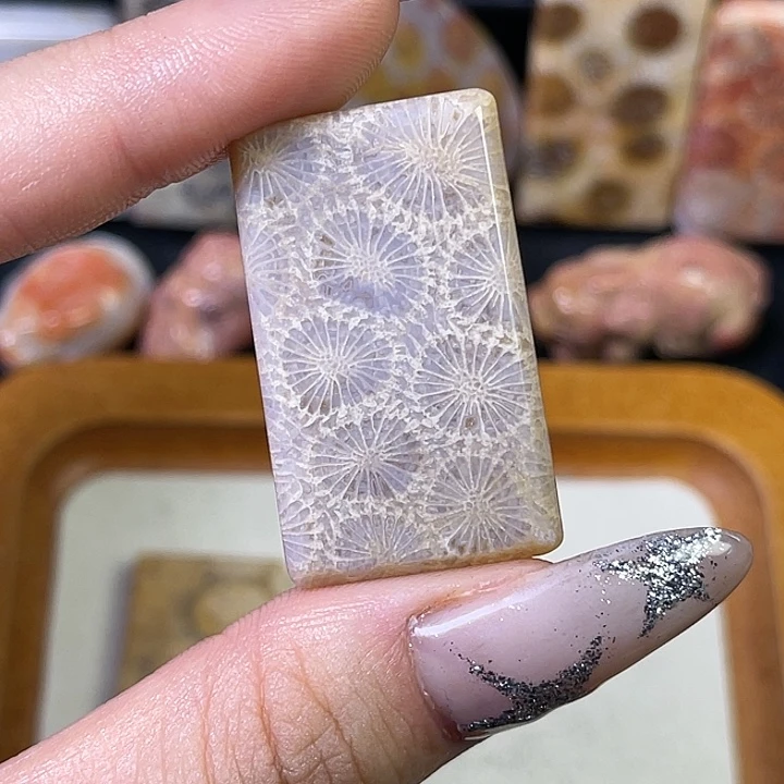 硅化珊瑚(珊瑚玉)珠宝金石合金哈**哈