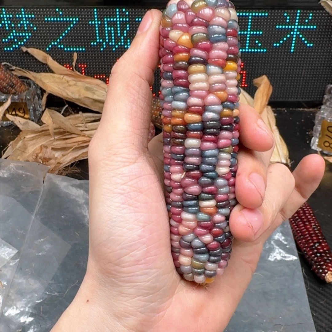 柏香籽/百香籽吊坠柚***檬