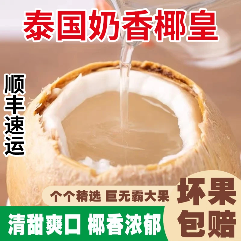 【顺丰速运】泰国丹嫩沙多核心产区椰皇6/8颗装椰青(420-750g/颗)