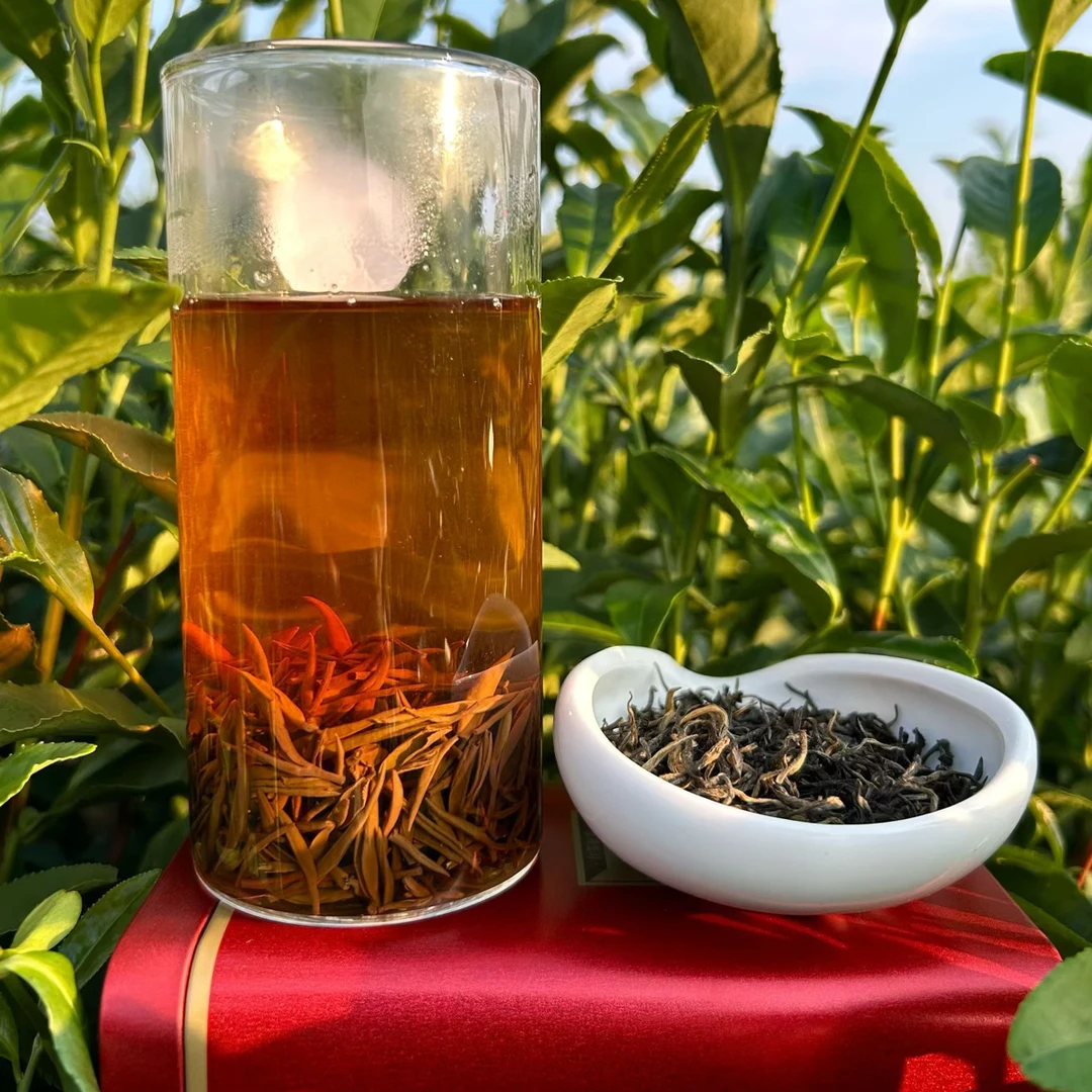 2025信阳毛尖土门村毛安高山红茶