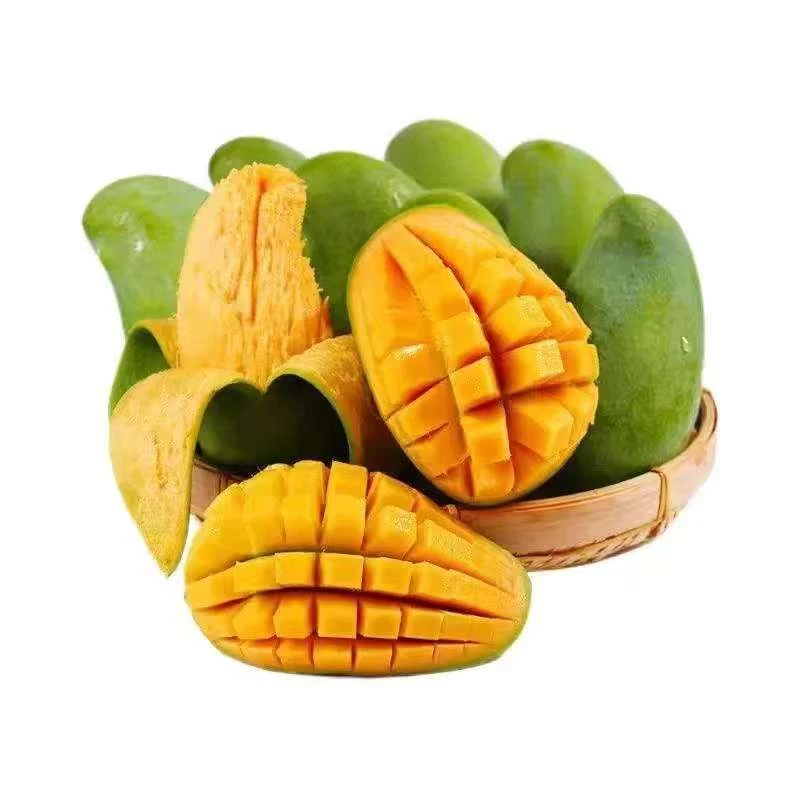 【桂七芒】新鲜当季桂七芒（礼盒装）约3.5-4斤海南省