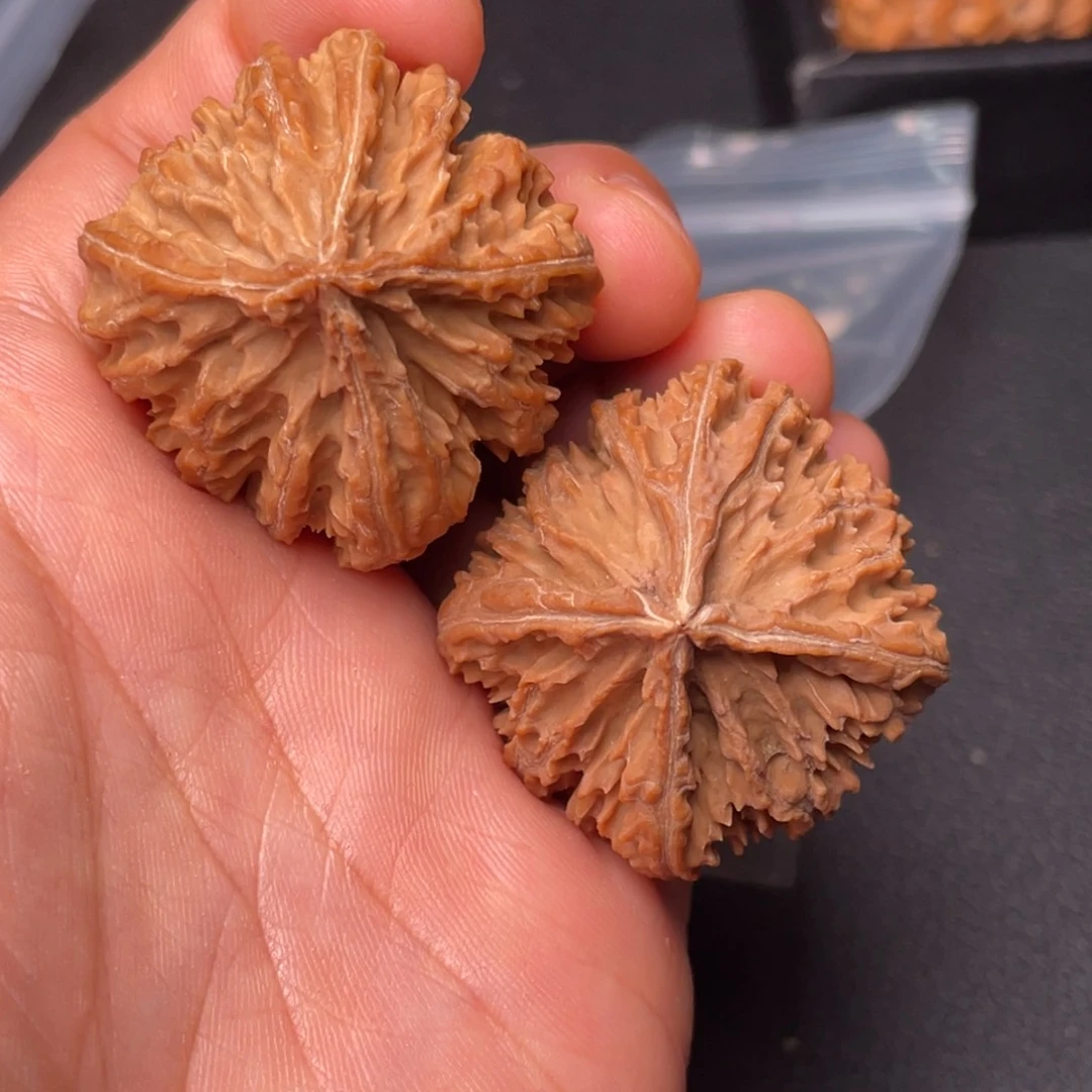 把件文玩核桃秦岭山脉和黄土高原
