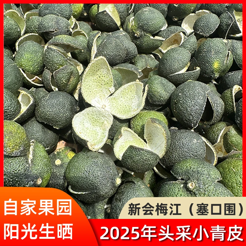 2025年新会梅江头采三花青皮新鲜采摘新会陈皮老树圈枝柑广东特产
