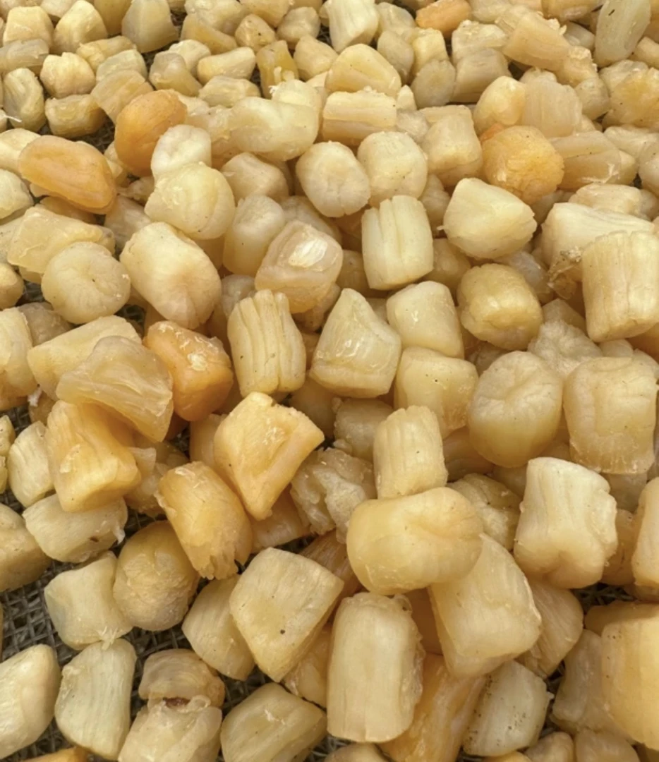 湛江渔民自晒淡晒瑶柱干海产干货精选品质