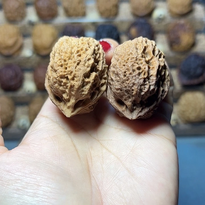 文玩核桃把件8号花彩珊瑚蟾39尺