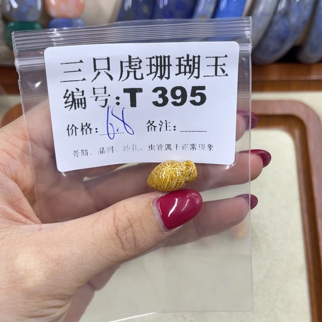 小***强硅化珊瑚（珊瑚玉）h未镶嵌