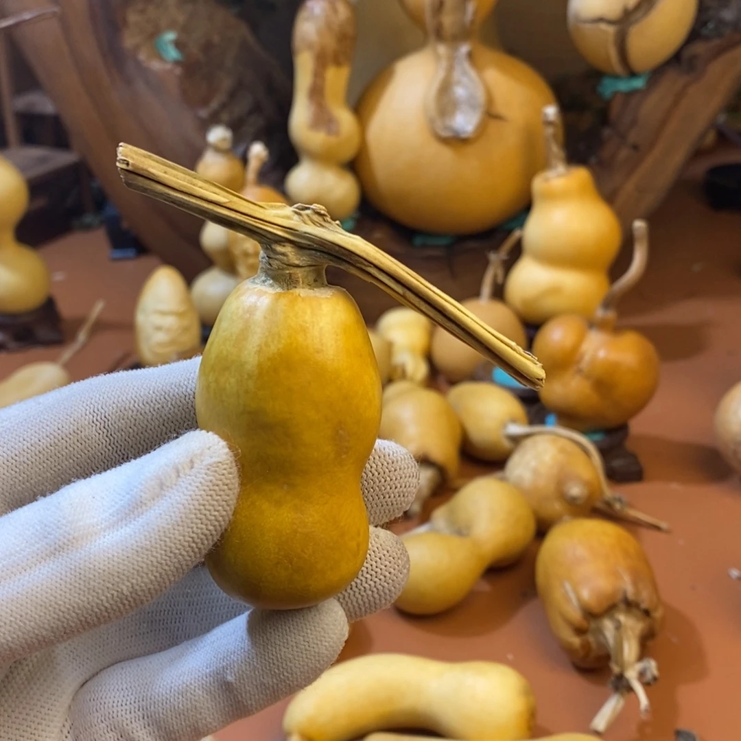 瑞***禄教练教练路途兔兔