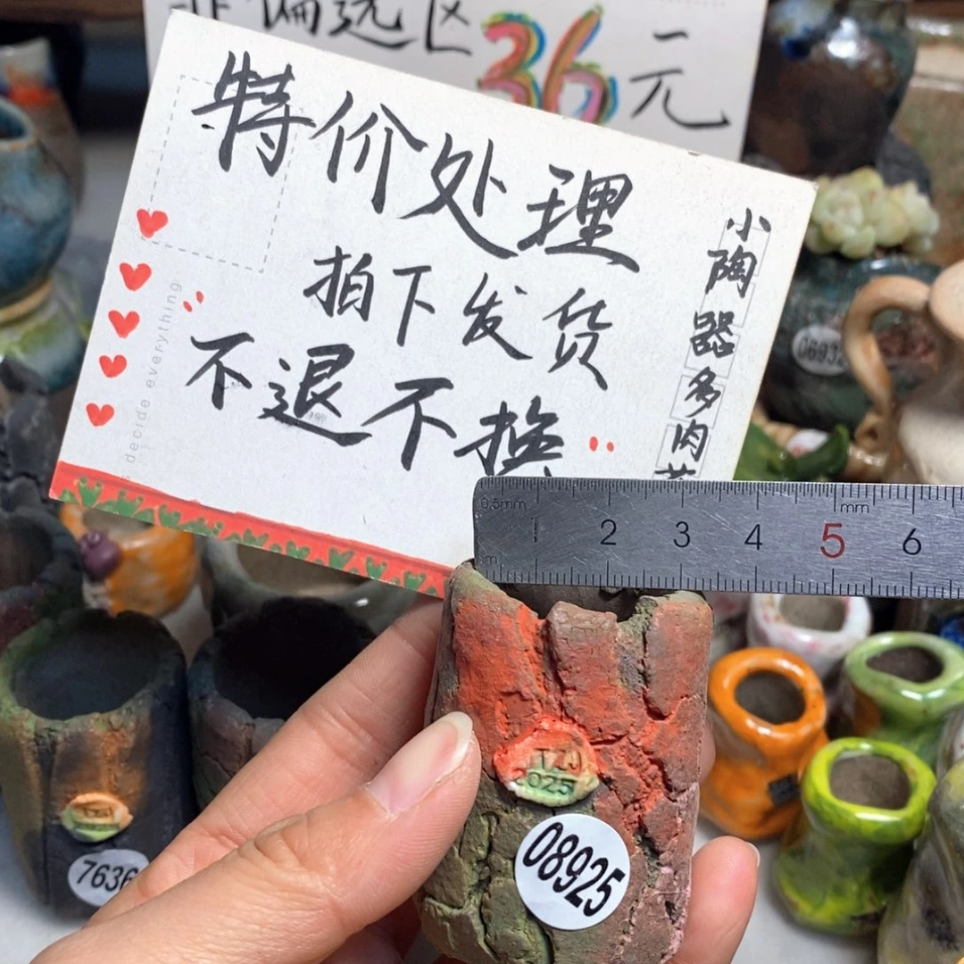 特价花盆不退换的，原价28元