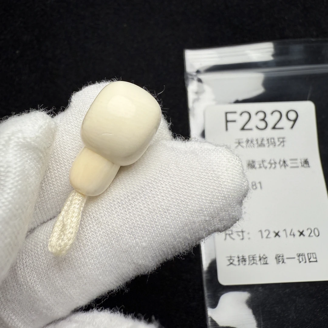 F2329天然猛犸象牙藏式分体三通冰料果冻料12*14*20mm微瑕