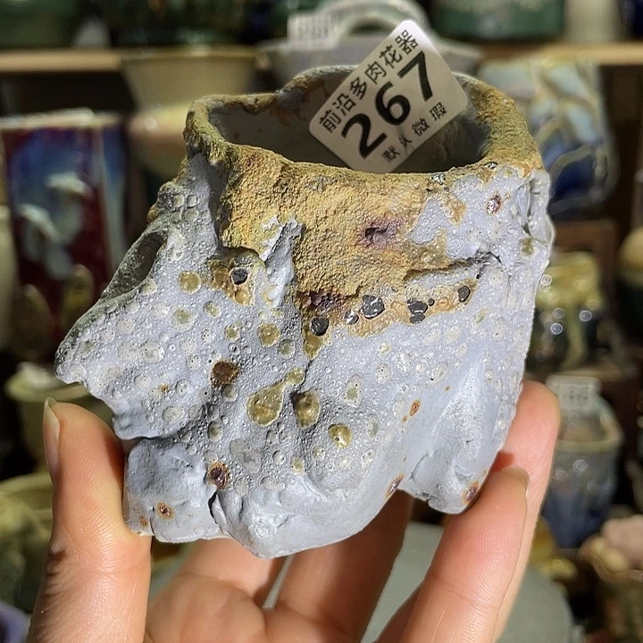 狼盆内口径5高度7