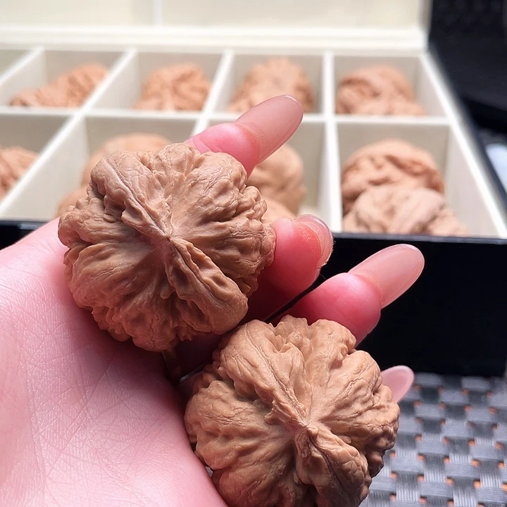 爱***玩霸王龙核桃尺寸39