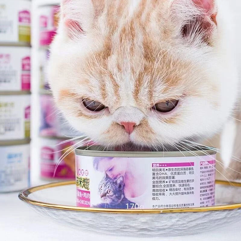 麦富迪吞拿鱼大罐头170g大罐