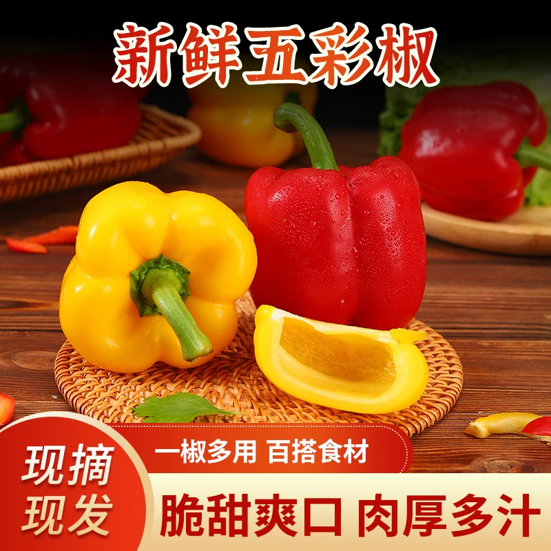 山东现摘新鲜水果五彩椒生吃不辣红椒黄椒灯笼椒圆椒水果彩椒