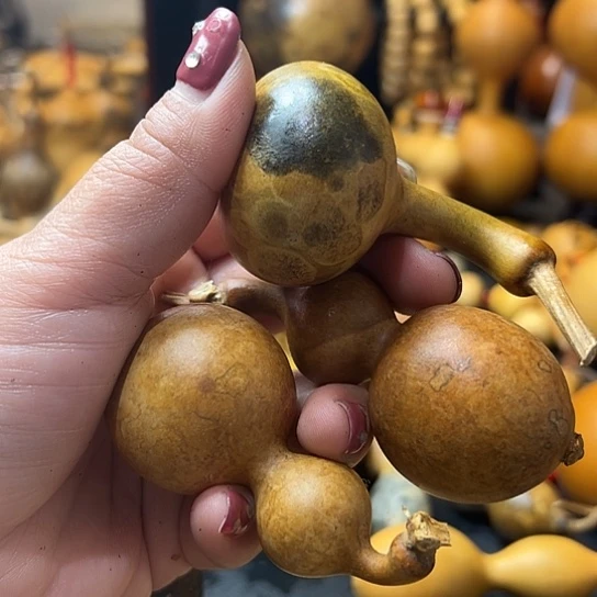 黏**?葫芦葫芦葫芦葫芦