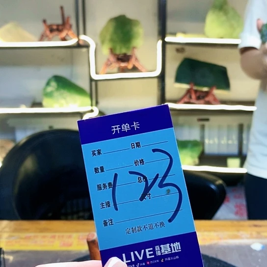 【闪购商品】未镶嵌蛇纹石玉原石小****乐