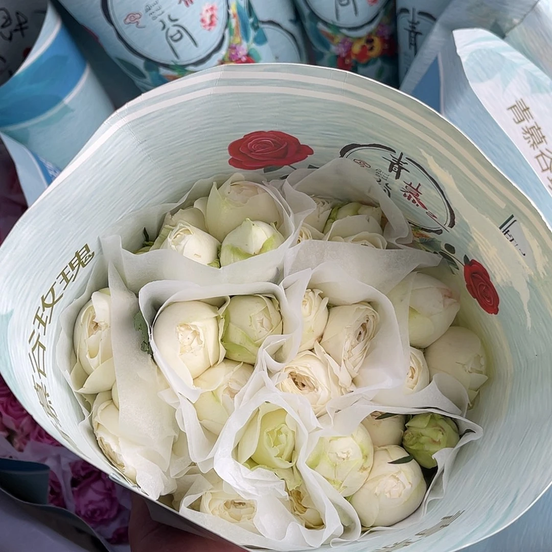 全部花苞青幕谷（新娘七星）一扎