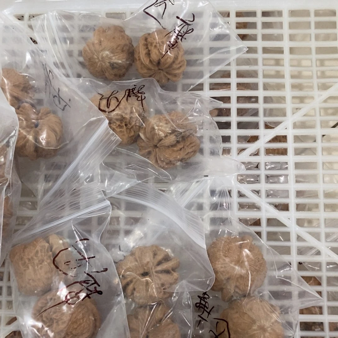 文玩核桃吊坠达摩有瑕疵团购