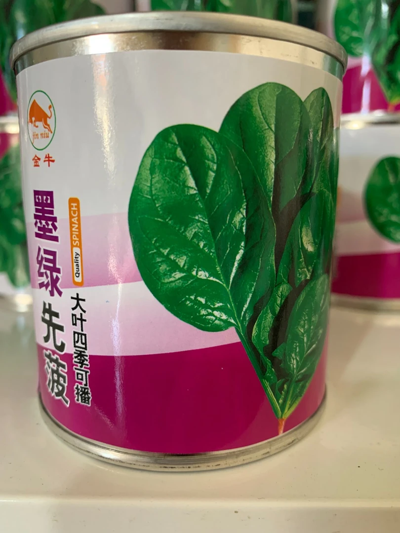 墨绿先菠大叶菠菜种子家庭种植可盆栽可地栽