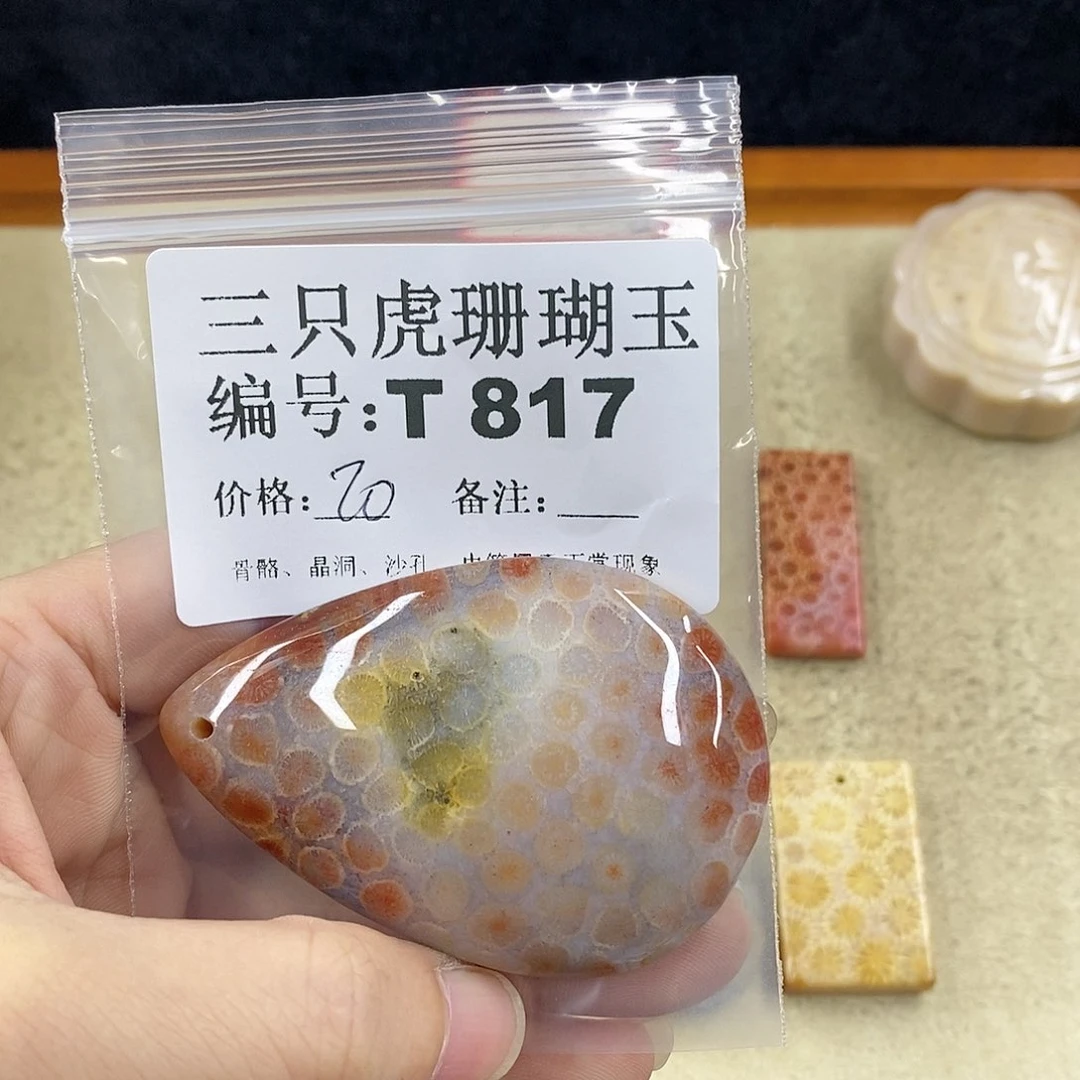 硅化珊瑚（珊瑚玉）1未镶嵌元*