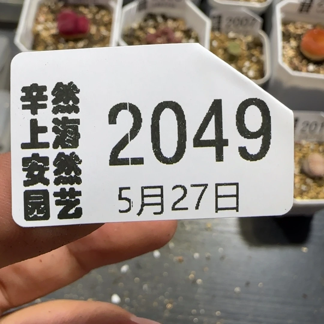 芝***-5.27。。216饼干。。2049