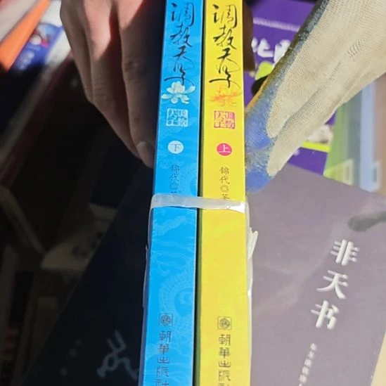 调教天子两本一套没塑封
