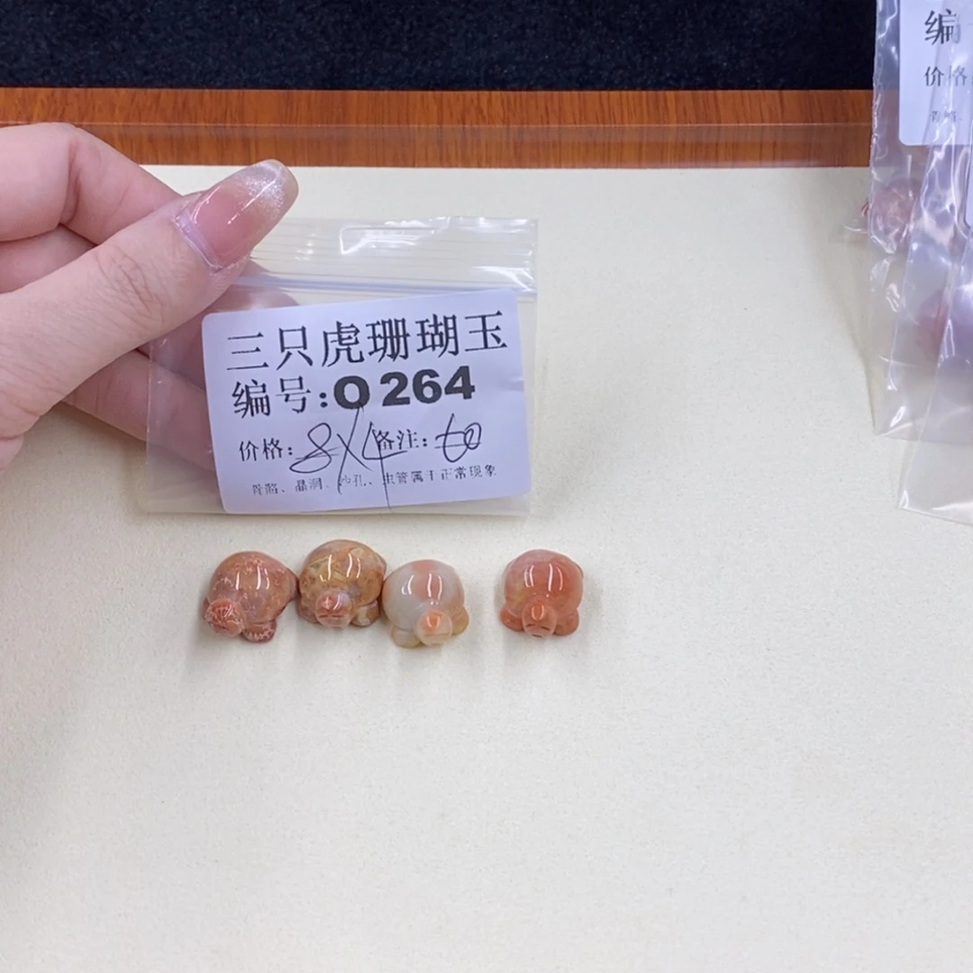硅化珊瑚（珊瑚玉）未镶嵌1t*o